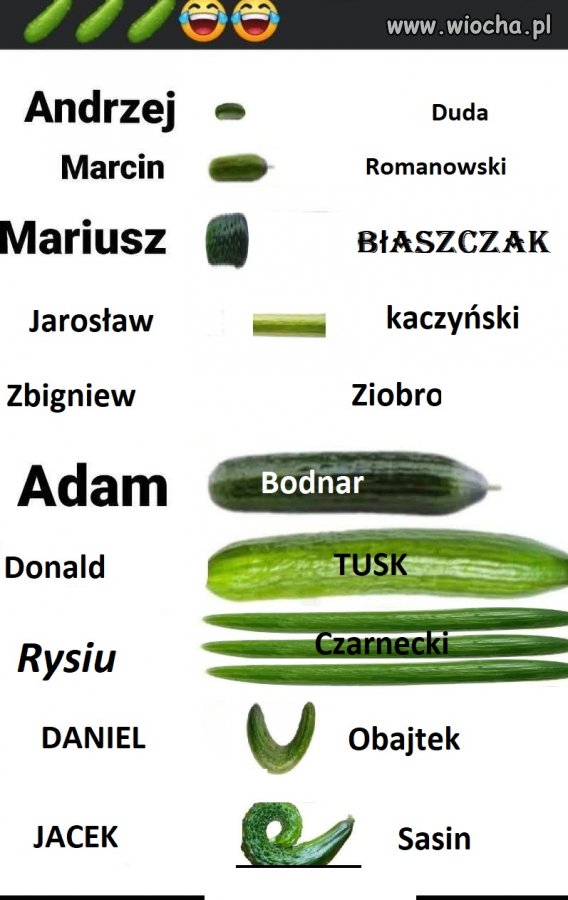 Miękiszony