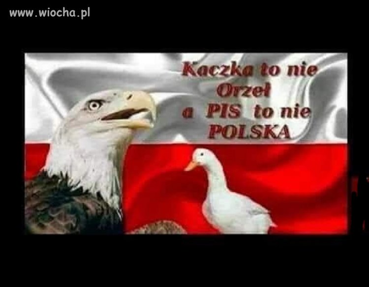 Bez komentarza
