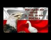 Bez komentarza