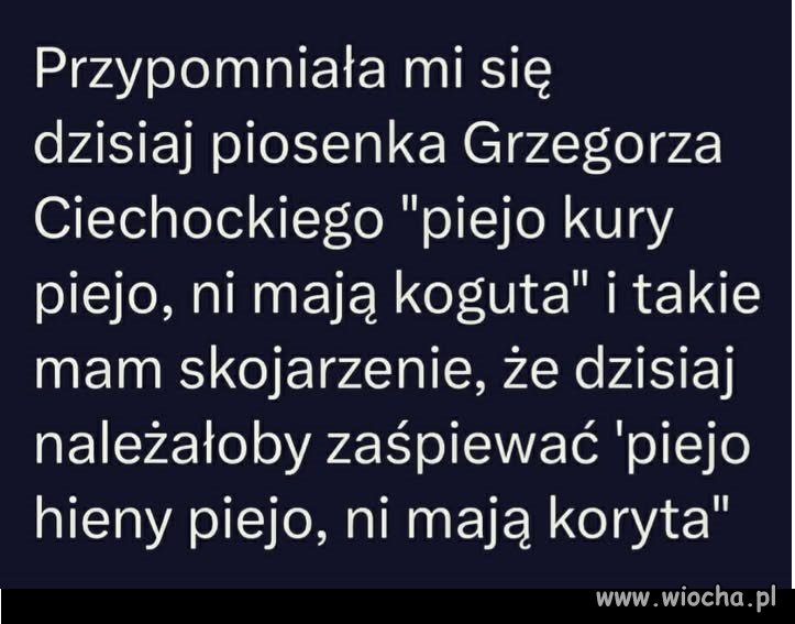 Słychać kwik