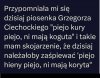 Słychać kwik
