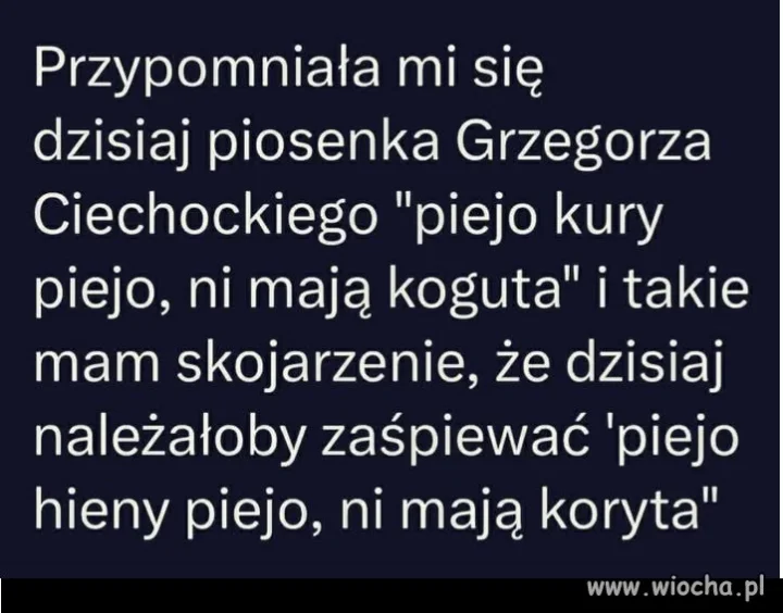 Słychać kwik