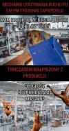 Spokojnie w pracy?