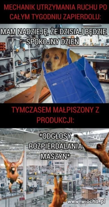 Spokojnie w pracy?