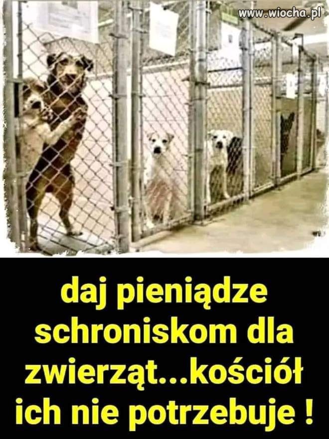 Mam do Was wszystkich wielką prośbę !