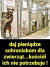 Mam do Was wszystkich wielką prośbę !