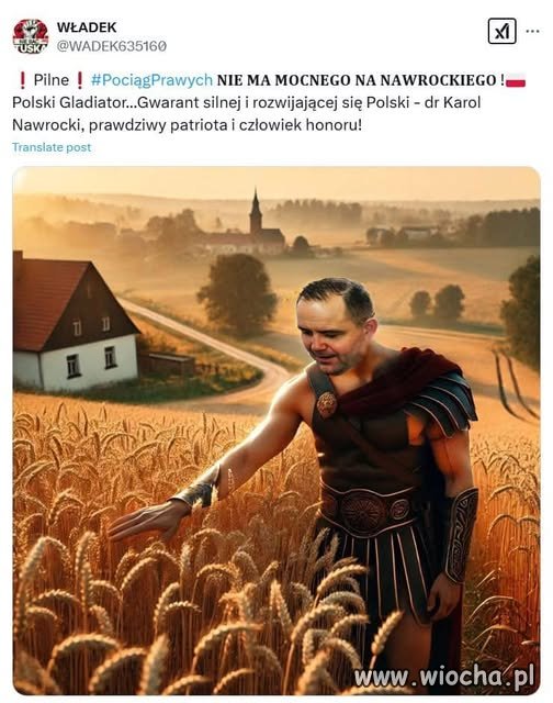 Piękny wpis o sutenerze