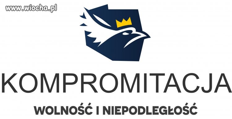 Dać Braunowi, Korwinowi, Mentzwenowi władzę lub