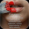 Kto za?