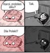 Kandydat niezależny