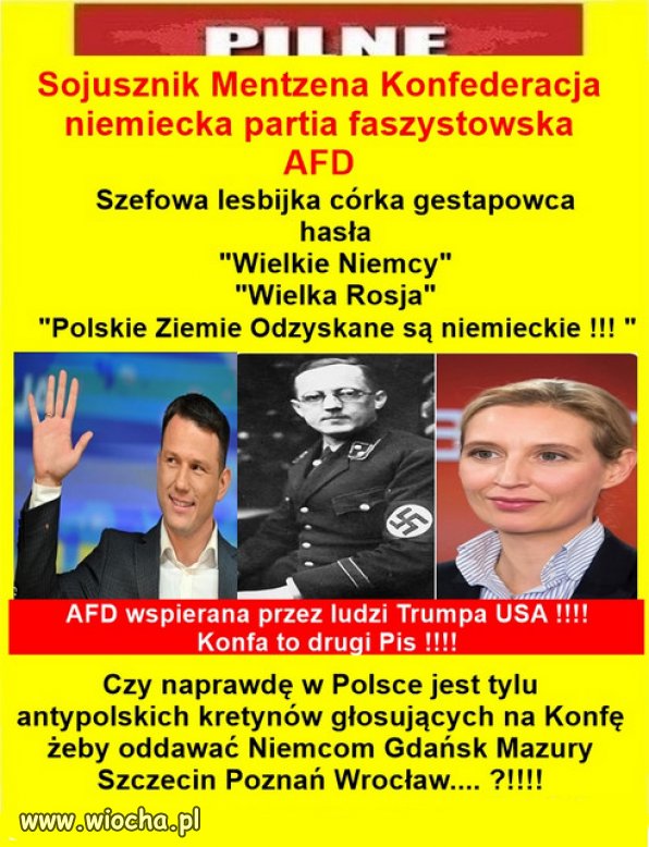 Neofaszyści Europy łączcie się, pod egida Putina i Trumpa!
