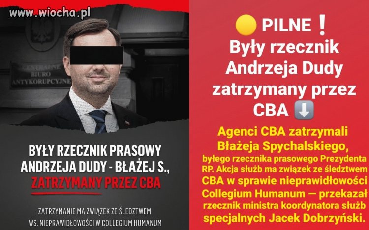 Jedna wielka pisowska grupa przestępcza