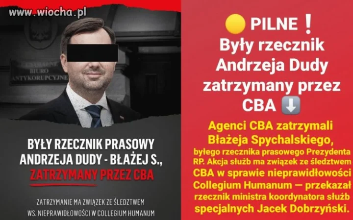 Jedna wielka pisowska grupa przestępcza