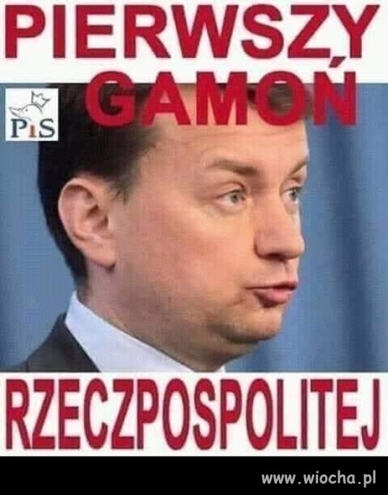 Jeden z wielu ...