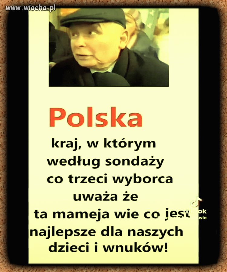 Pisowcy są niereformowalni 