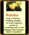 Pisowcy są niereformowalni 