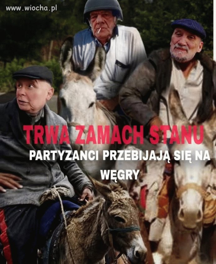 Jak tam u was zamach stanu?