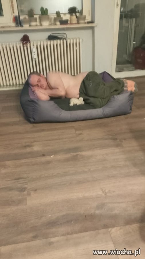 Stary po dwóch Tatrach 