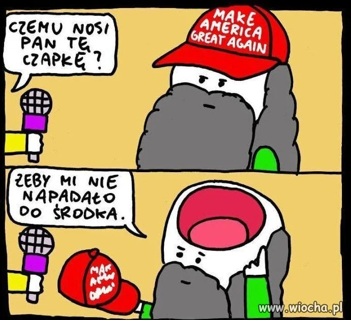 Czapeczka naprawdę 