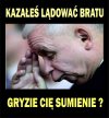 Tyle pytań i ciągle nie ma odpowiedzi