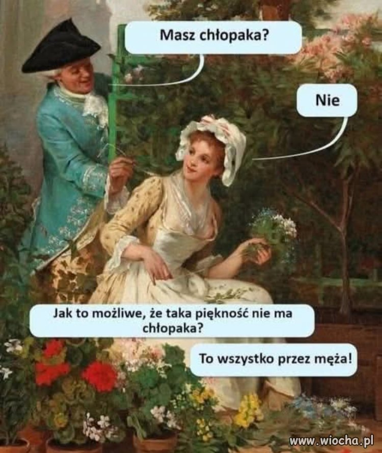 Humoru trochę 