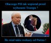 Agenci Putina