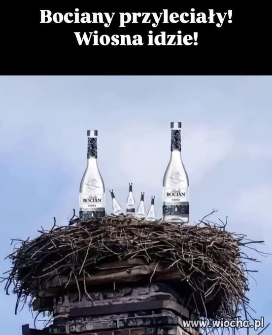 Wiosna.