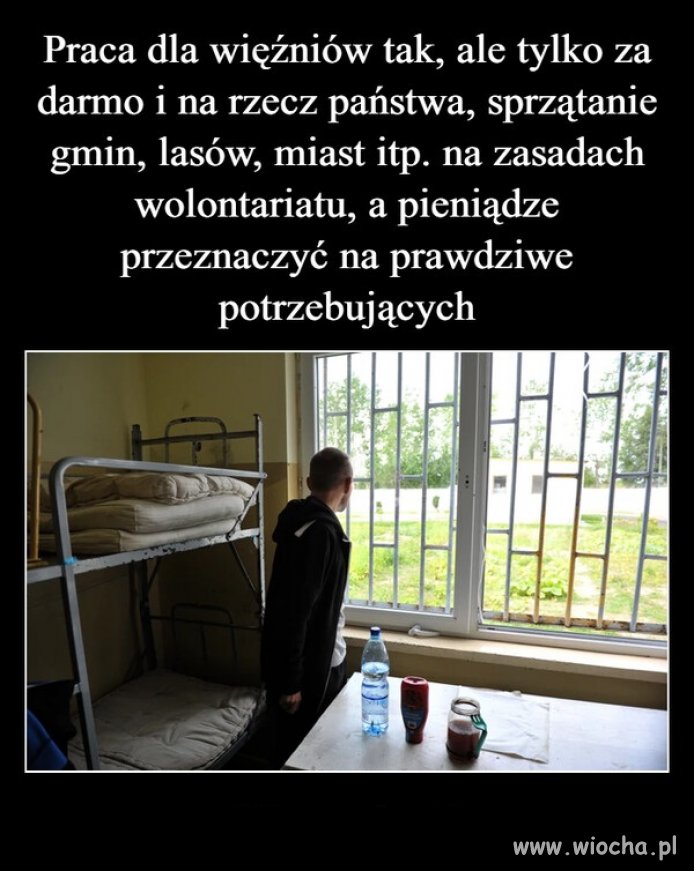 Powinni mieć szansę odpracować to co ukradli ...