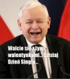 Dziś obchodzimy Dzień Singla ...