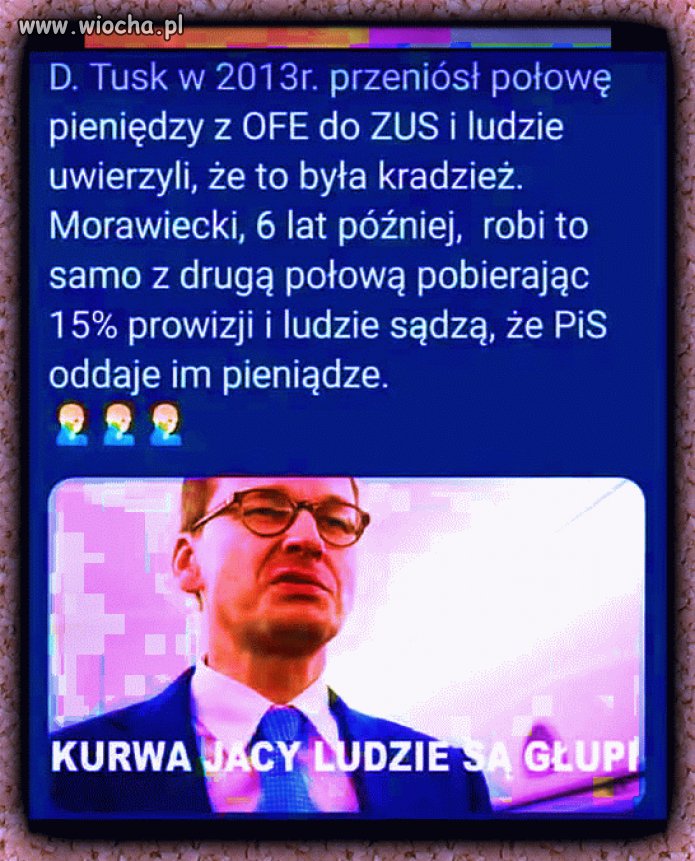 Pisowieci w większości mają jedynie 