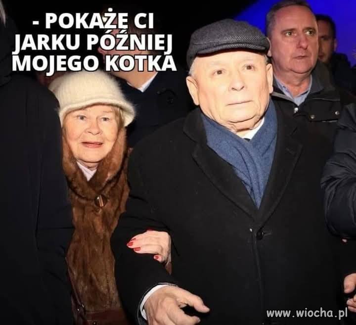 Dzień kota