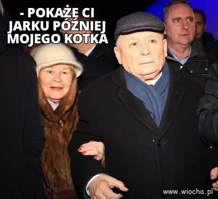 Dzień kota
