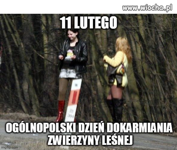 Pamiętajmy o naszych braciach mniejszych!