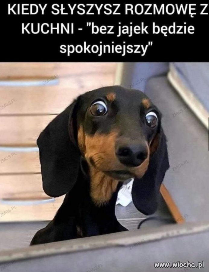 Lepiej nie podsłuchiwać 
