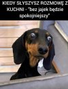 Lepiej nie podsłuchiwać 