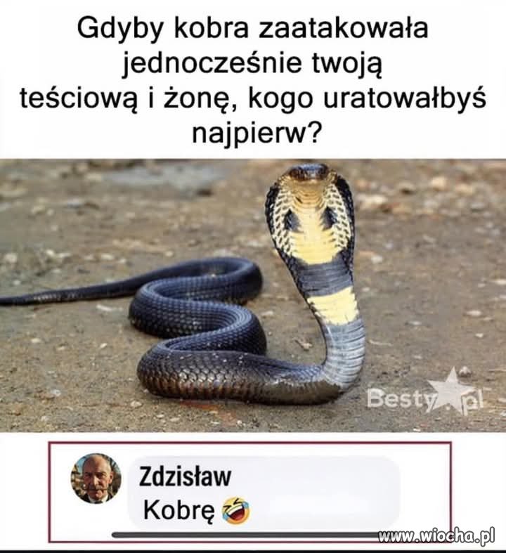 Tak jest