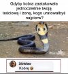 Tak jest