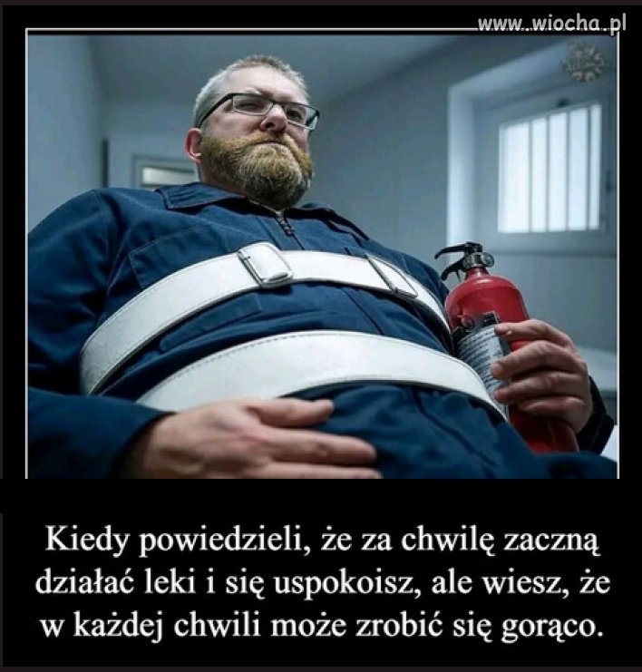Kandydat na prezydenta Polski (Putina)