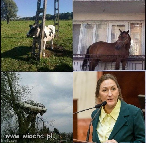 Jak oni się tam dostali?