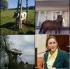 Jak oni się tam dostali?