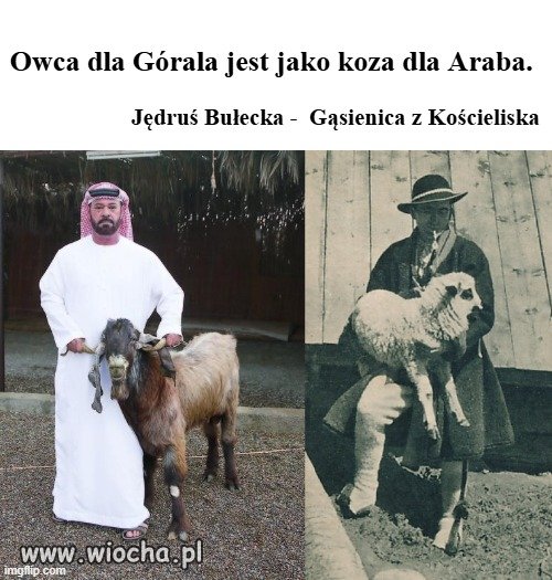 Góral z Arabem 