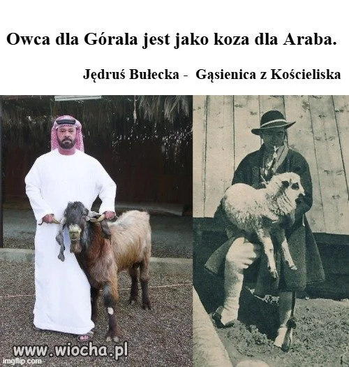 Góral z Arabem 
