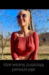 Wiosna, wiosna wszędzie 