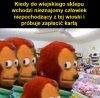 Tak jest