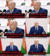Sto procent demokracji