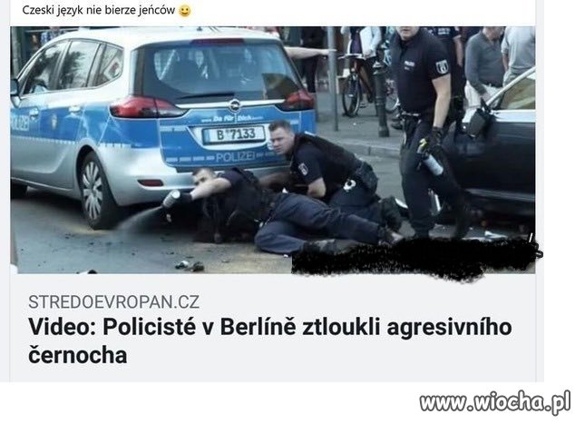 Sąsiedzi to mają język