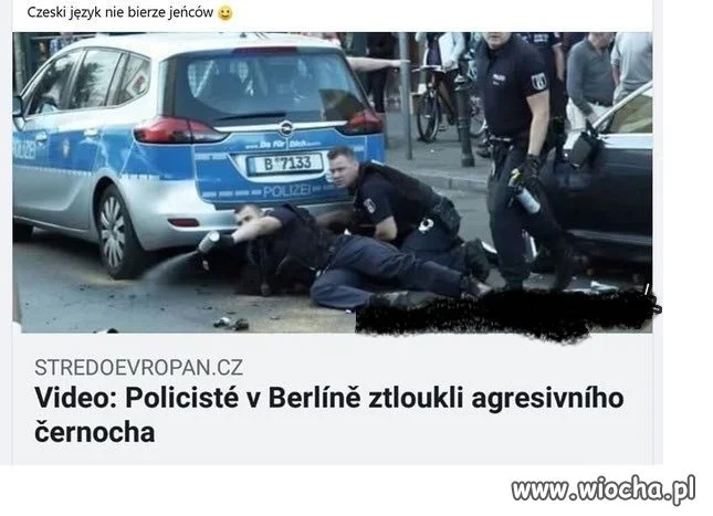 Sąsiedzi to mają język