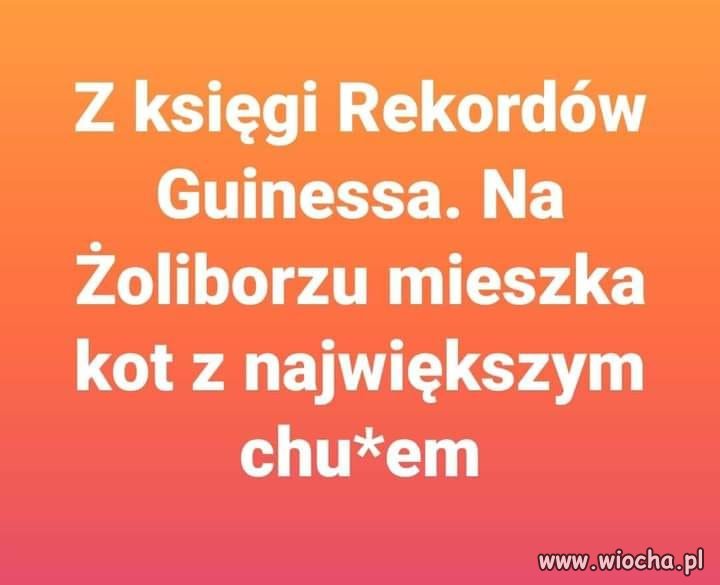 Czy wiedziałeś, że ...