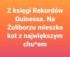 Czy wiedziałeś, że ...