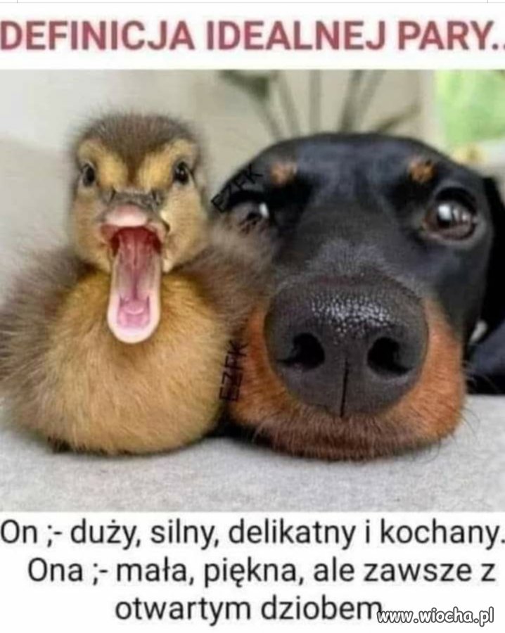 Heheszki 